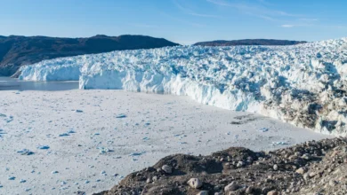 The Chemical Threat in Glaciers and Icebergs