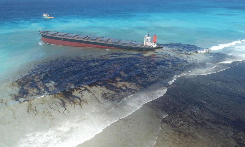 Top 10 Effects of Oil Spills on Marine Ecosystems