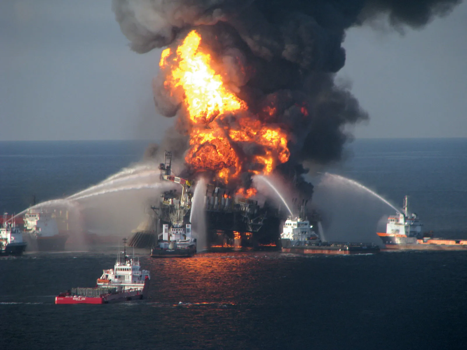 Top 10 Effects of Oil Spills on Marine Ecosystems