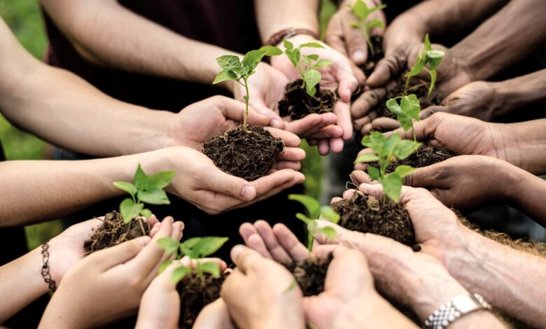 Vertical Farming Solutions: Sustainable Agriculture in Urban Areas