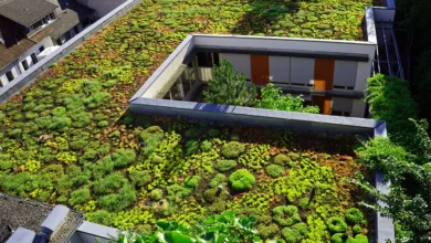 10 Ideas for Utilizing Green Roofs to Mitigate Urban Heat Island