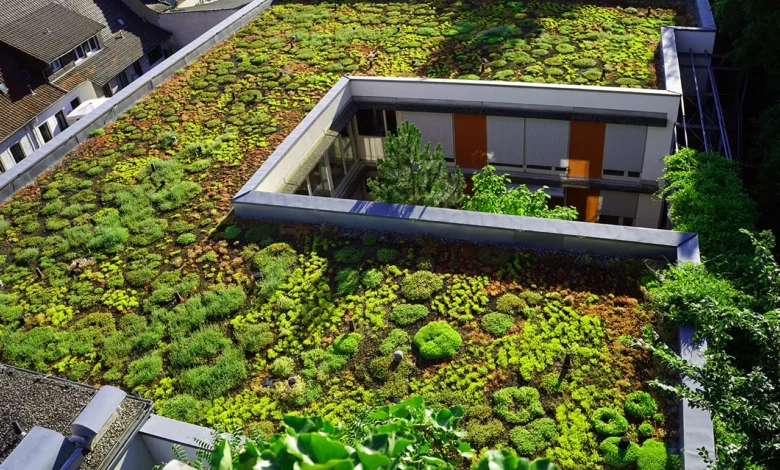 10 Ideas for Utilizing Green Roofs to Mitigate Urban Heat Island