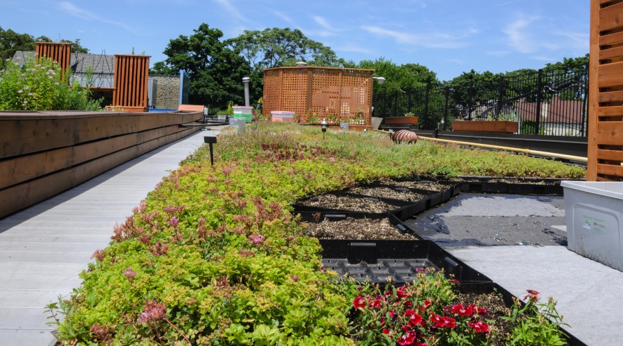 green roofing