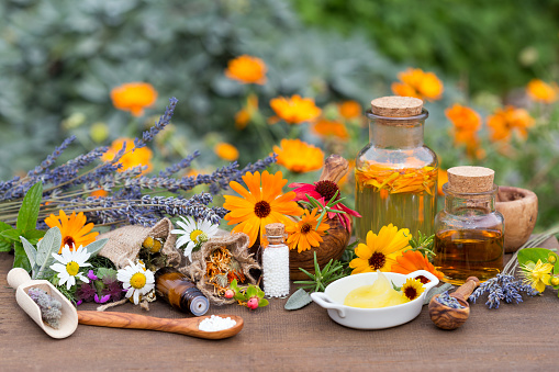 10 Steps to Becoming a Homeopathy Expert In 2023