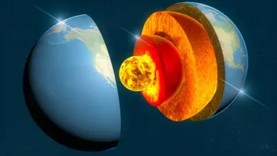 How to Understand Plate Tectonics In 2023