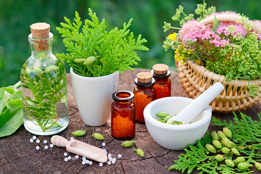 10 Steps to Becoming a Homeopathy Expert In 2023