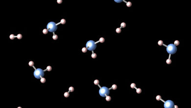 Why Are Elements and Compounds Important?