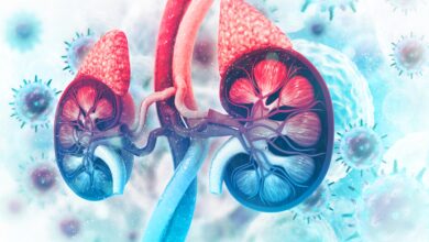 How to Monitor the Function of Adrenal Glands In 2023