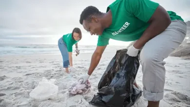 How to Plan the Perfect Beach Cleanup Event In 2023