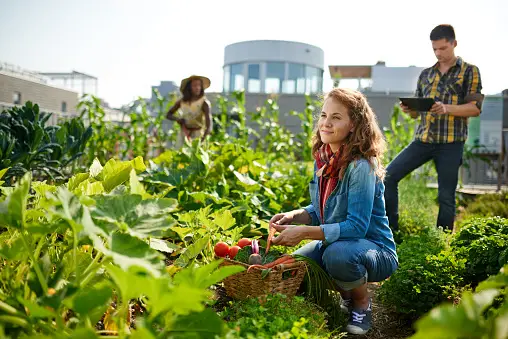 Top 10 Facts About Urban Agriculture Workshop In 2023