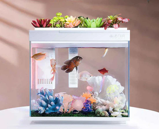 10 Tips For Maintaining A Smart Fish Tank In 2023 - TechMag