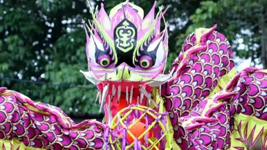 10 Ways to Learn Chinese Dragon Dance In 2023