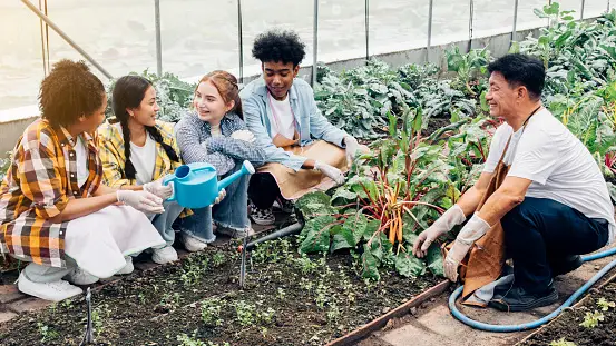 10 Ideas for Celebrating Community Garden Day in 2024