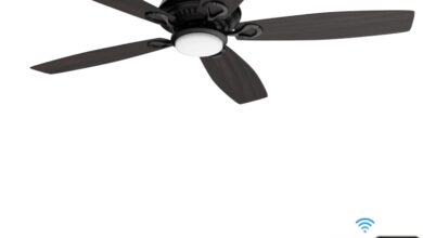 10 Facts for Installing Smart Ceiling Fan In 2024