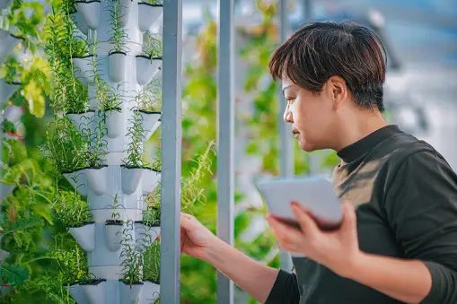 Vertical Farming Solutions: Sustainable Agriculture in Urban Areas