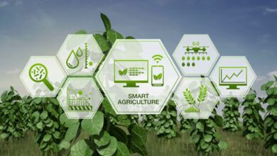 Future of IoT in Spain Agriculture Sector