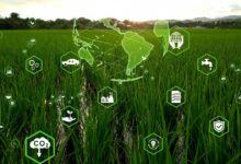 Impact of IoT on Environmental Sustainability