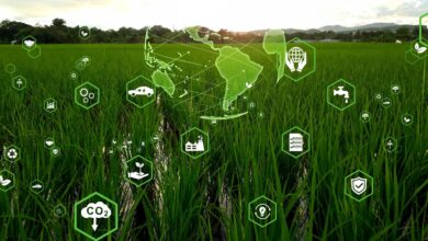 Impact of IoT on Environmental Sustainability