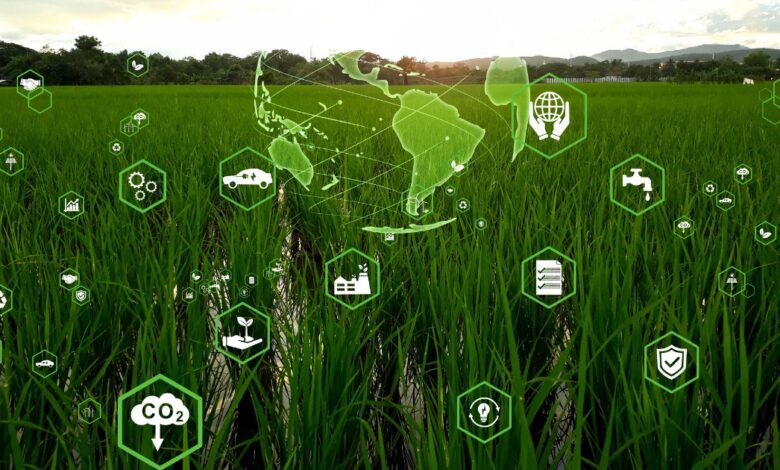 Impact of IoT on Environmental Sustainability