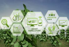 IoT in Agriculture