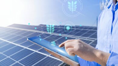 How Spanish Farms Are Using IoT for Smart Agriculture